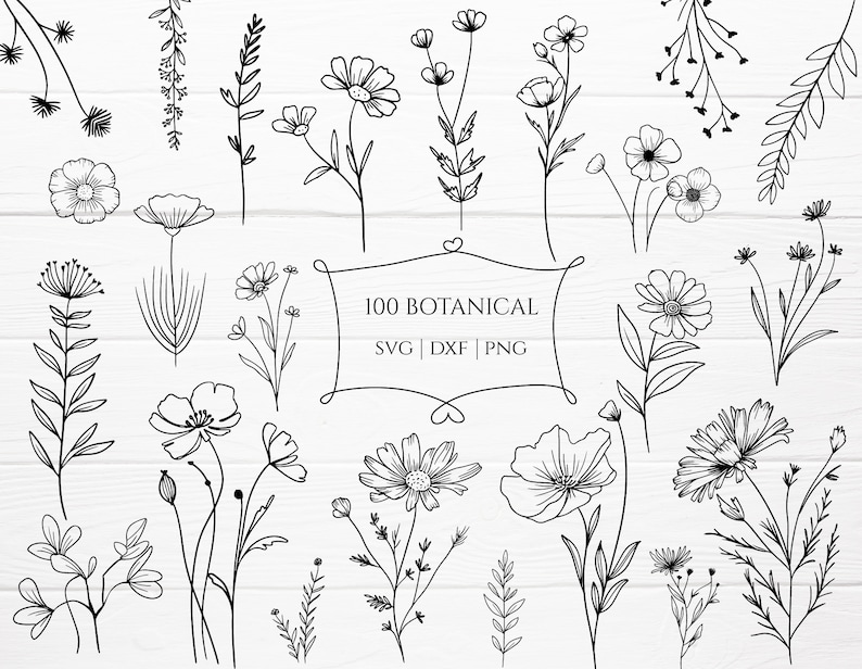 Puede incluir: Una colecci&oacute;n de 100 ilustraciones bot&aacute;nicas en blanco y negro, que incluyen flores, hojas y tallos. Las ilustraciones son simples y elegantes, y ser&iacute;an perfectas para usar en una variedad de proyectos creativos.