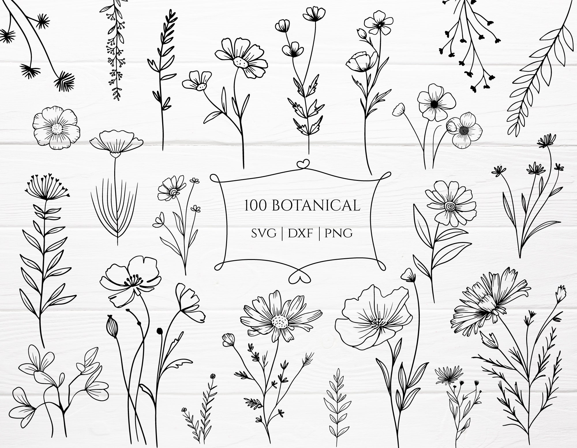 100 Botanical Svg Bundle Cut File, Floral,Flower leaf,leaves ,Botanical clipart hand drawn doodle style svg,png,eps, for cricut