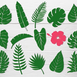 15 Tropical leaves bundle svg for cut file, leaf svg,flower clipart,palm svg, for cricut