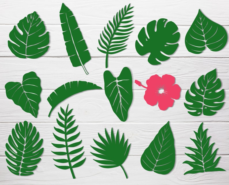 Free Free 159 Tropical Flower Leaves Svg SVG PNG EPS DXF File