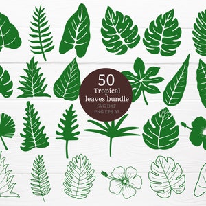 50 Tropical leaves bundle svg for cut file, leaf svg,flower clipart,palm svg, for cricut
