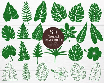 Flower SVG-PNG
