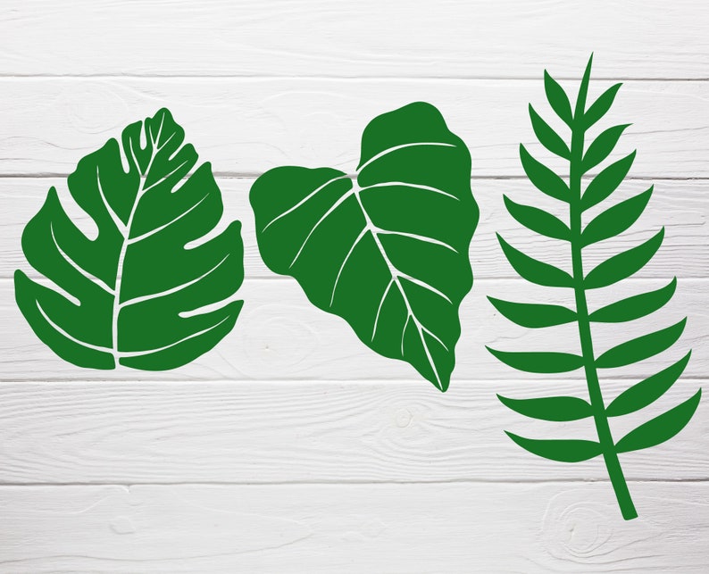 Free Free 197 Tropical Flower Leaves Svg SVG PNG EPS DXF File