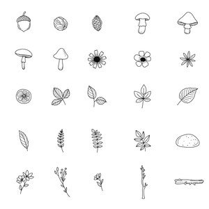 May include: A set of 25 black and white line drawings of various nature elements, including acorns, mushrooms, leaves, flowers, and branches.
