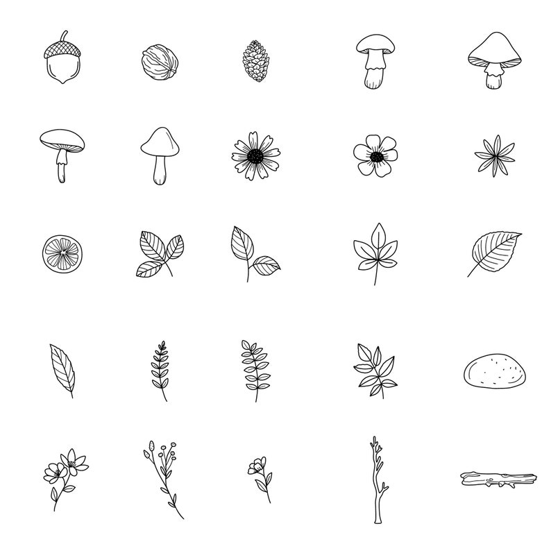 May include: A set of 25 black and white line drawings of various nature elements, including acorns, mushrooms, leaves, flowers, and branches.