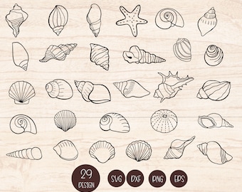 Seashells bundle SVG for cut file, shell, Summer,  Beach, Svg files for cricut and silhouette,vector,clipart
