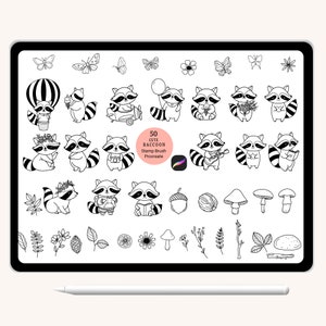 50 wasbeer cartoon wild dier stempel voortplanten, blad bloem, bladeren, overzicht, doodle, handgetekende, borstel, schattige dieren cartoon