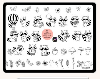 50 Raccoon cartoon wildanimal Stamp Procreate, Flower leaf, leaves, Outline,Doodle,hand drawn,brush,cute animals cartoon