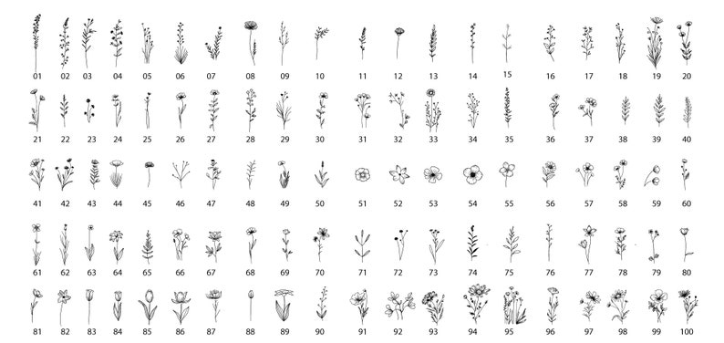 Puede incluir: Un conjunto de 100 dibujos en blanco y negro de diferentes flores y plantas. Los dibujos son simples y elegantes, y ser&iacute;an perfectos para usar en una variedad de proyectos creativos.