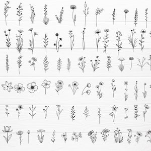 Puede incluir: Una colecci&oacute;n de 100 ilustraciones florales dibujadas a mano, con varios tipos de flores, hojas y tallos. Las ilustraciones son en blanco y negro y son perfectas para agregar un toque de naturaleza a tus dise&ntilde;os.