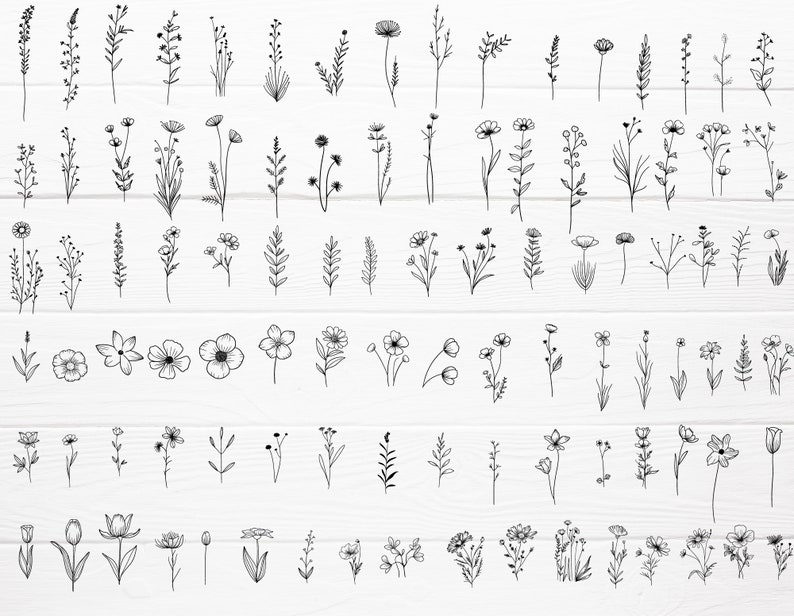 Puede incluir: Una colecci&oacute;n de 100 ilustraciones florales dibujadas a mano, con varios tipos de flores, hojas y tallos. Las ilustraciones son en blanco y negro y son perfectas para agregar un toque de naturaleza a tus dise&ntilde;os.