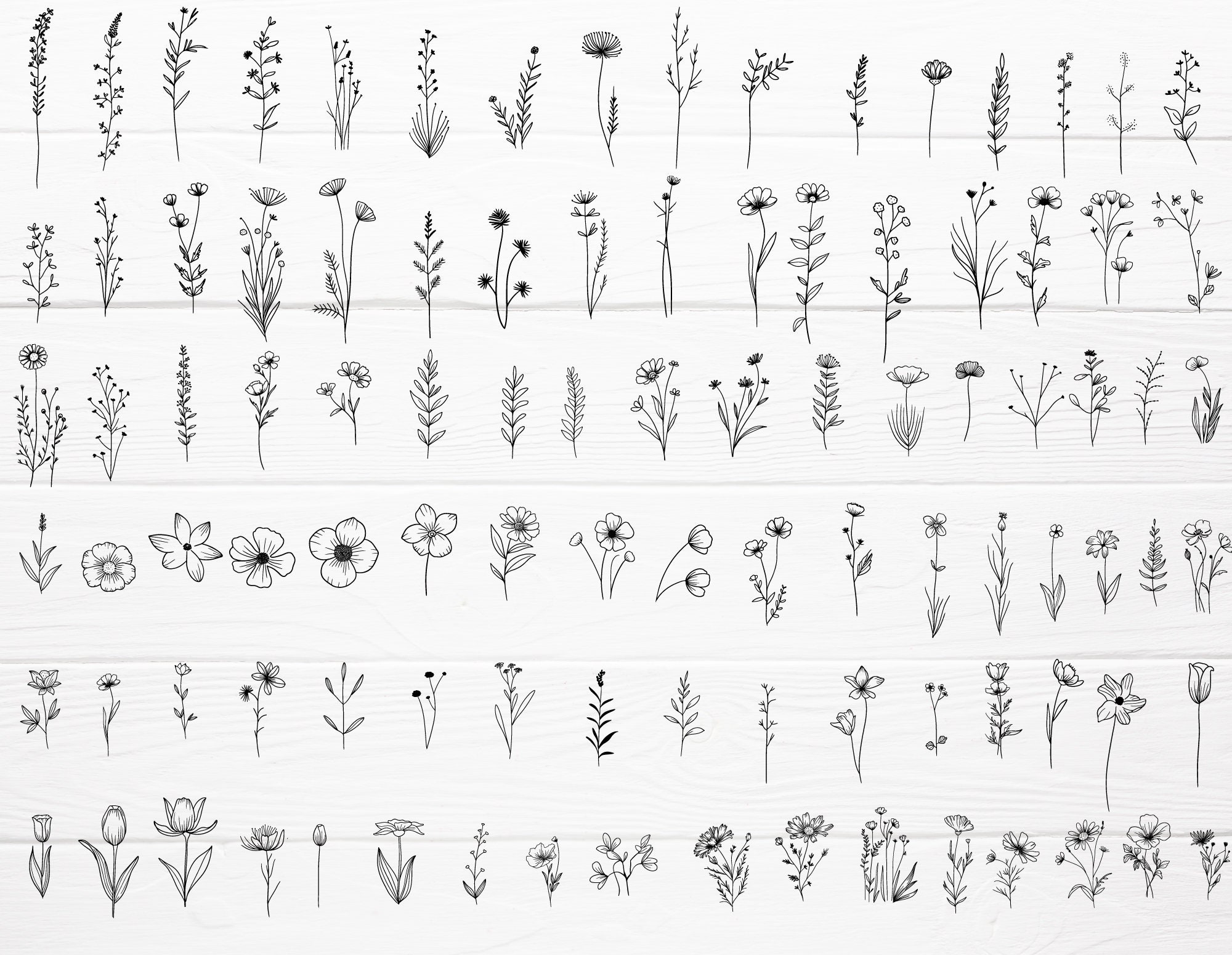 100 Botanical Svg Bundle Cut File, Floral,flower Leaf,leaves ,botanical ...