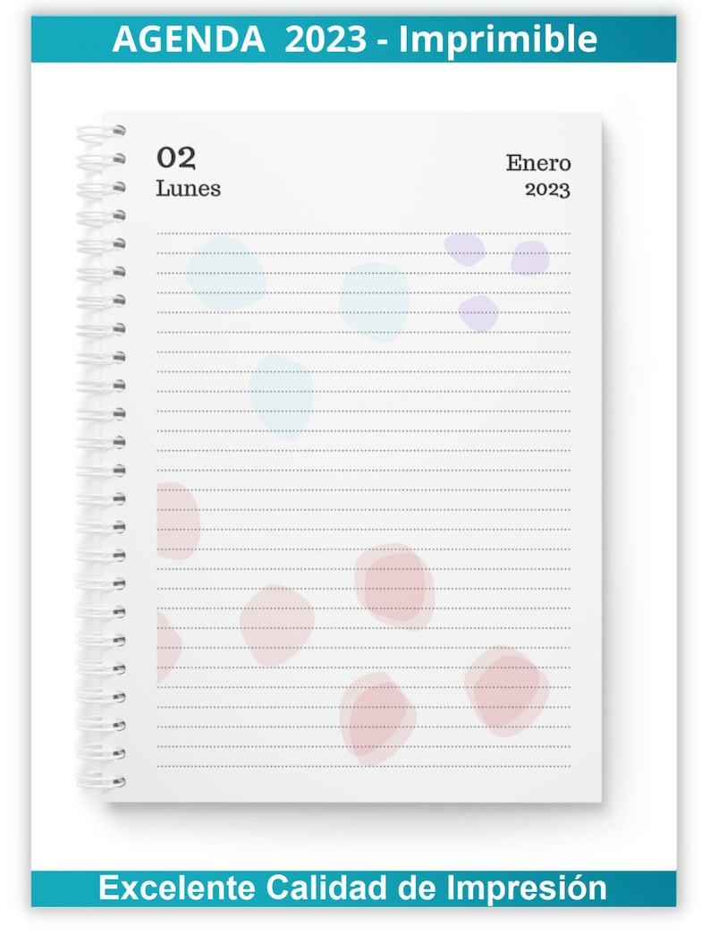 Printable Agenda 2023 Daily PDF Files to Print Organizer Etsy