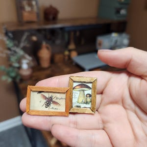 May include: Two small framed pictures, one with a bee and the text "Diptera 6. Musca", the other with a mushroom.