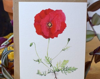 Dessin Coquelicot Etsy Dessin Coquelicot Etsy