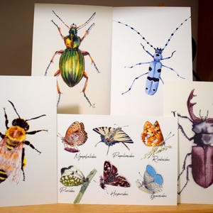 Divers modèles Cartes postales insectes aquarelle