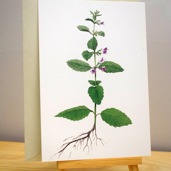 Carte postale aquarelle Botanique