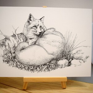 Grande carte Renard encre