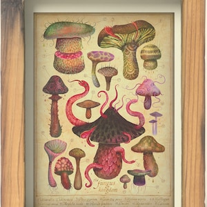 Fungus Kingdom - Art Print