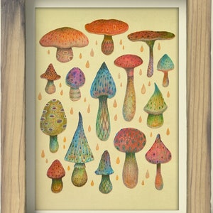 Arcus ancoras - Art Print, Mushroom Art, Fungi Print, Fungi Decor