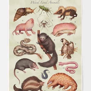 Weird Land Creatures - Art Print