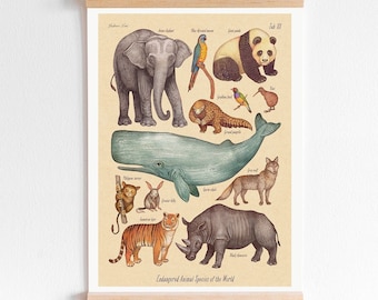 May include: A vintage-style illustrated poster featuring endangered animal species of the world. The poster includes a variety of animals, including an elephant, a panda, a whale, a tiger, and a rhinoceros. The poster is titled "Endangered Animal Species of the World" and is part of the "Curious Garden" art series by Vlad Stankovic.
