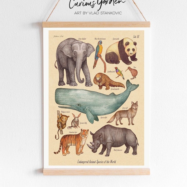 Endangered Animal Poster Etsy Endangered Animal Poster Etsy