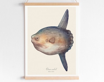 Pesce luna oceanico - Stampa artistica