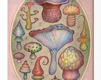 Fungi II - Art Print