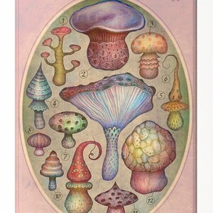 Fungi II - Art Print