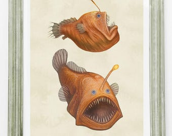 Humpback Anglerfish, Deep Sea Creature Illustration, Ocean Wall Art, Marine Biology Decor, Weird Fish Poster, Nautical Gift