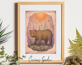 Brown Bear - Art Print