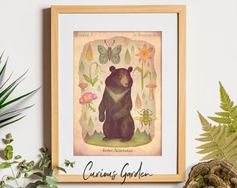 Asian Black Bear - Art Print