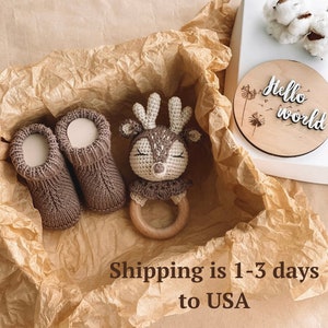 Deer baby gift box for pregnant sister, Deer rattle, Woodland baby shower gift