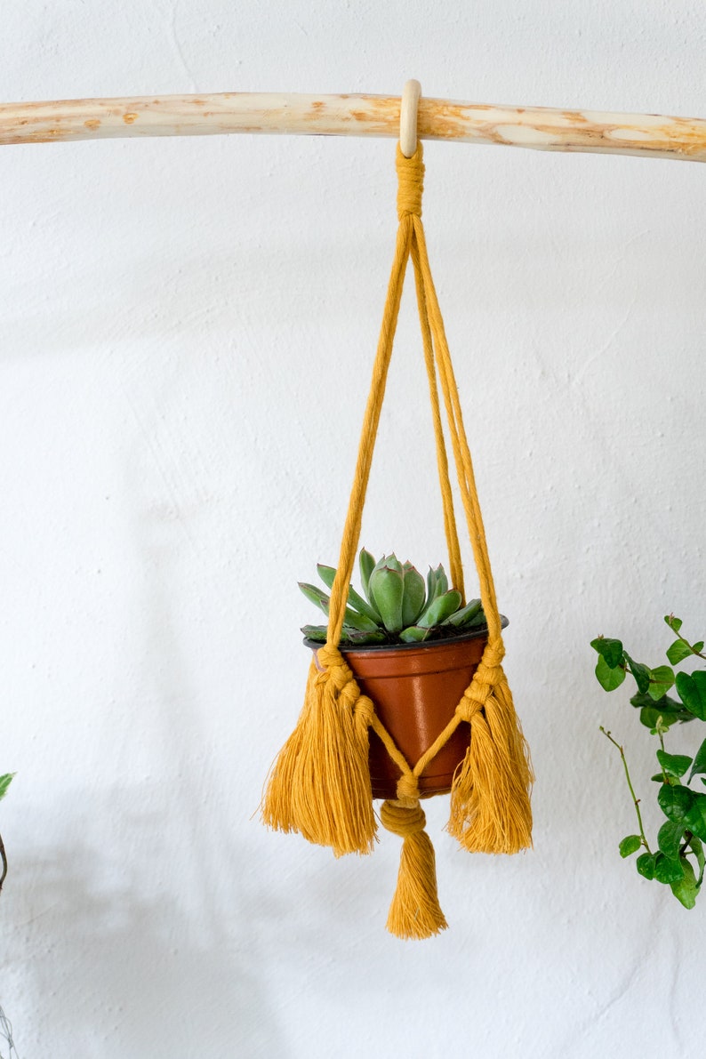 blumenampel mit topf