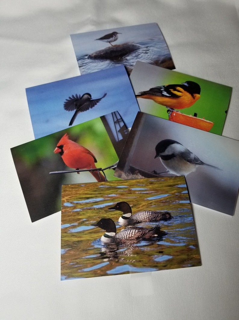 Bird Photo Notecards