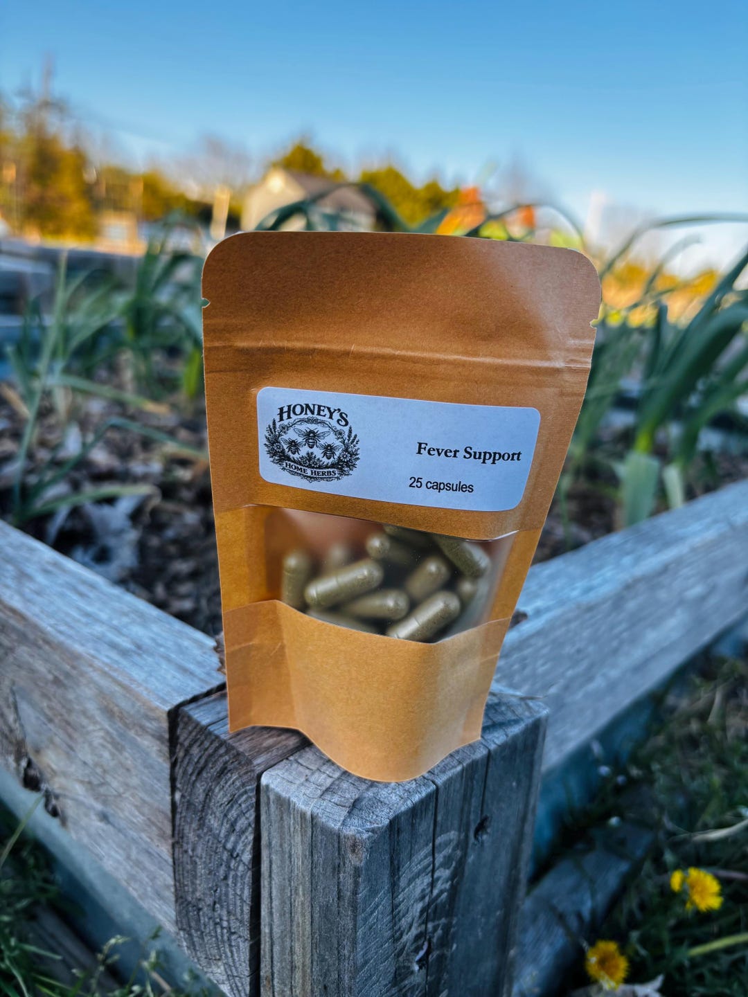 Fever Support Capsules - Etsy