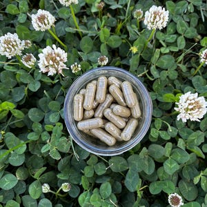 May include: A clear glass jar filled with brown capsules sits atop a bed of green clover and white clover flowers. The capsules are cylindrical and appear to be filled with a powder. The image is taken from a high-angle perspective.