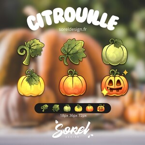 Op de afbeelding: Cartoon illustraties van pompoenen in geel, oranje en groen, met bladeren en een Halloween lantaarn ontwerp. Het woord "CITROUILLE" staat bovenaan, met "soreldesign.fr" eronder. Een set kleinere pompoen iconen staat onderaan.