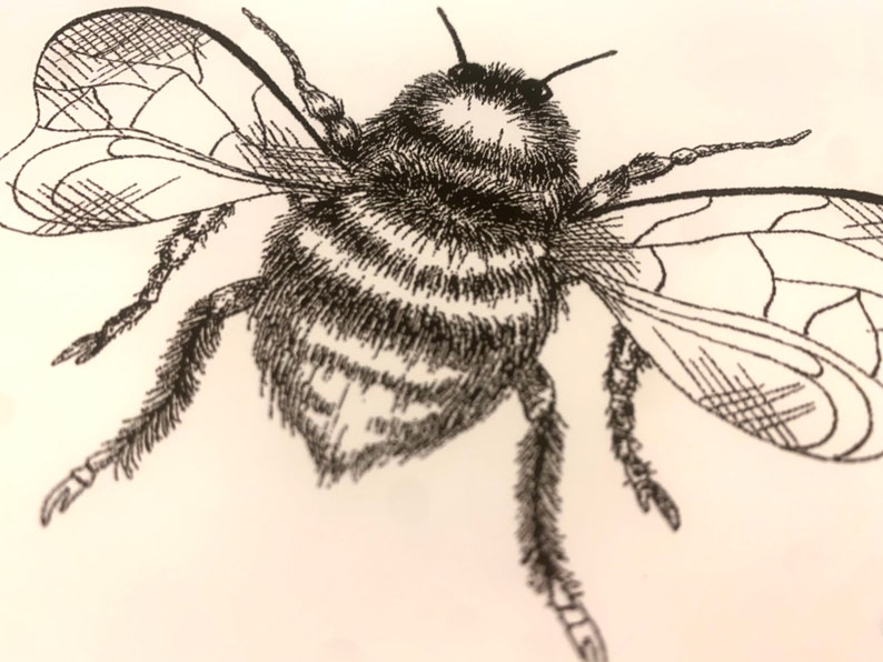 Free Free Manchester Bee Svg