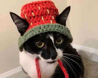Crocheted Cat Hat