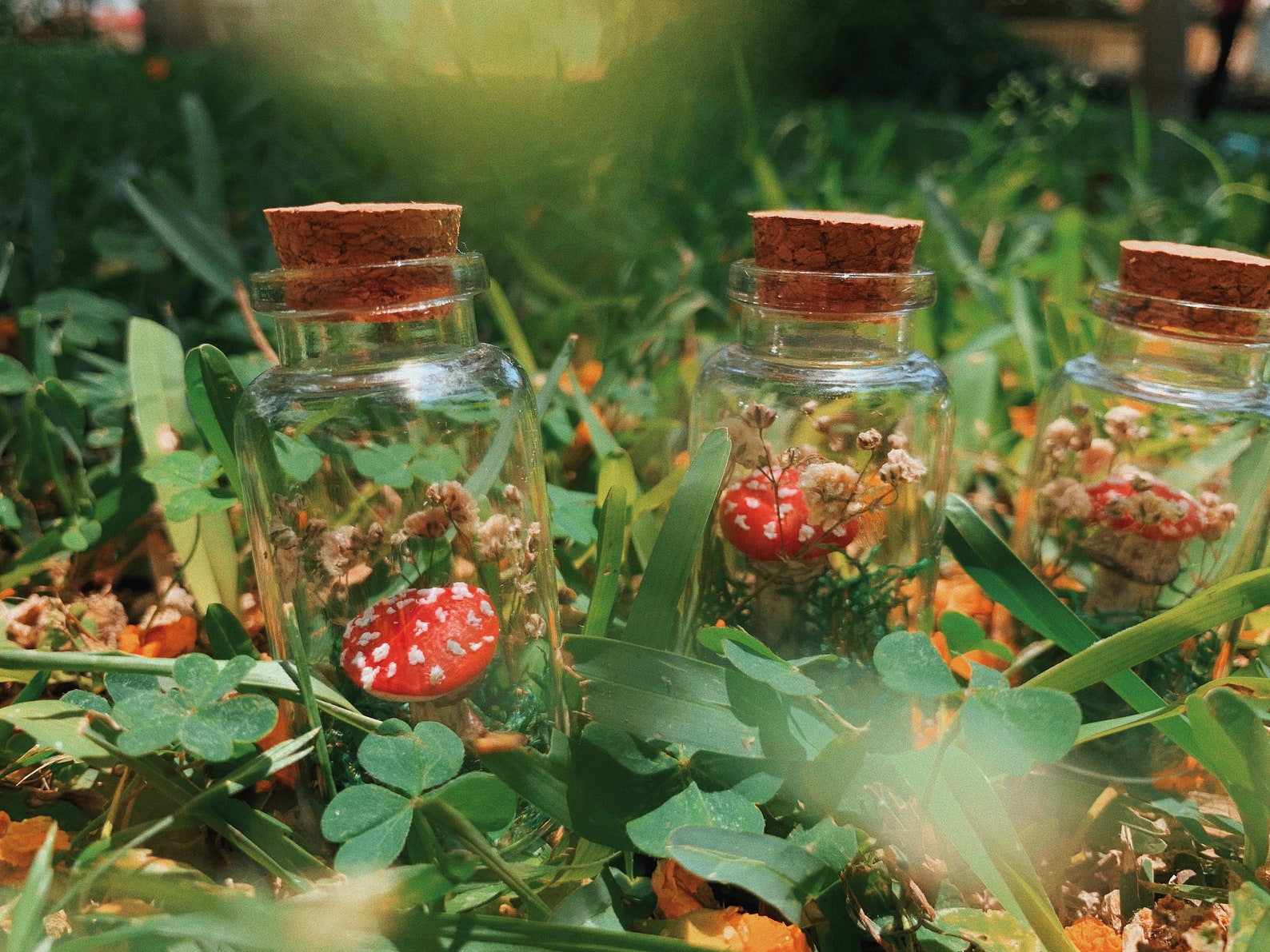 Polymer clay forest in a bottle Etsy