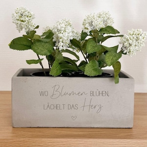 Può includere: Una fioriera rettangolare in cemento con il testo "Wo Blumen blühen, lächelt das Herz" e un simbolo a forma di cuore. La fioriera contiene una pianta con foglie verdi e fiori bianchi. La fioriera è appoggiata su una superficie di legno.