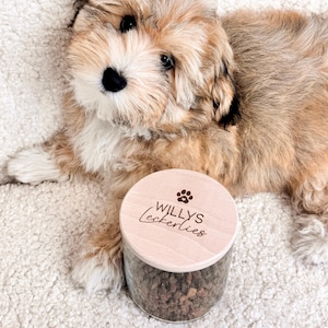 May include: A fluffy, light brown puppy with a black nose and eyes lies next to a clear glass jar filled with treats. The jar has a wooden lid with the text "Willys Leckerlies" and a paw print.