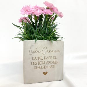 Könnte beinhalten: Ein quadratischer, hellgrauer Pflanztopf mit dem Text "Liebe Carmen" und einem Herzsymbol, der eine Pflanze mit grünen Blättern und rosa Nelkenblüten enthält. Der Text "DANKE, DASS DU UNS BEIM WACHSEN GEHOLFEN HAST" ist ebenfalls sichtbar.