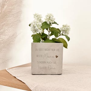 K&ouml;nnte beinhalten: Ein quadratischer, grauer Betonblumentopf mit dem Text "DU BIST NICHT NUR DIE BESTE Mama" und "SONDERN AUCH DIE TOLLSTE Oma" in einer Schriftart. Der Topf enth&auml;lt wei&szlig;e Blumen mit gr&uuml;nen Bl&auml;ttern.