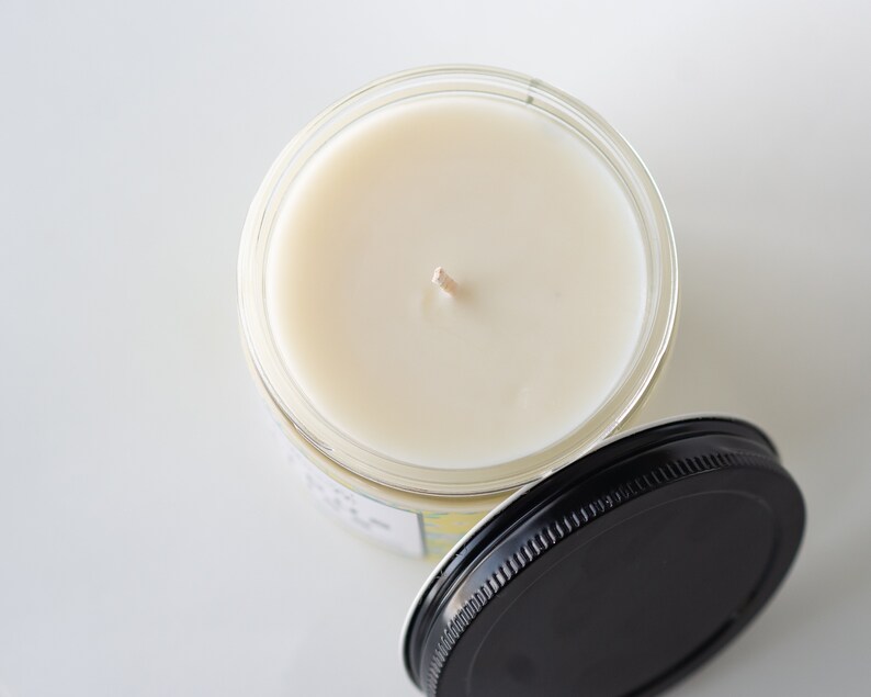 Citrus Bliss Highly Scented Soy Candles and Melt Etsy