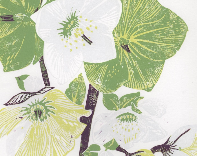Hellebore - Linocut Print