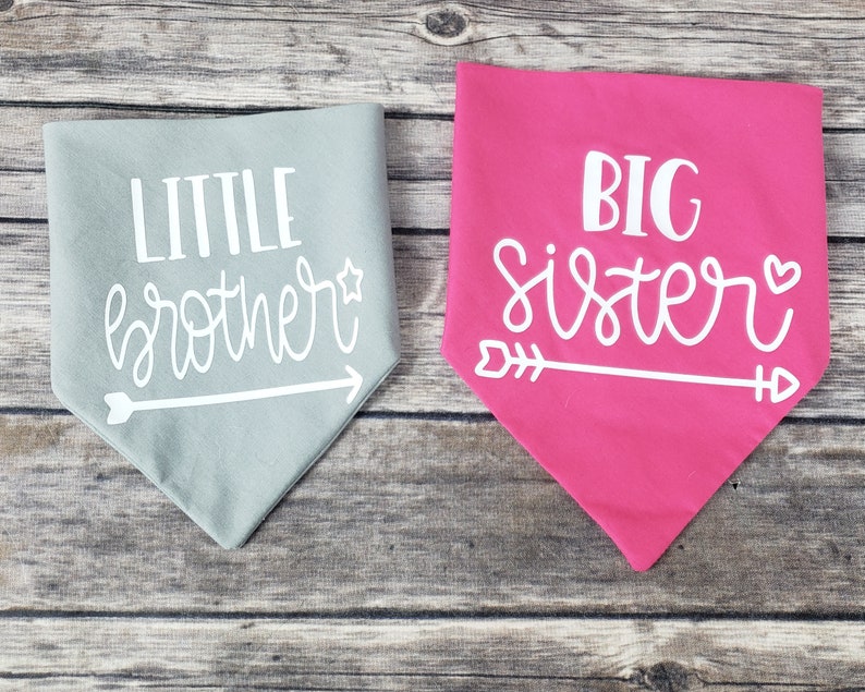 Big Sister / Little Brother Dog Bandana / Over the Collar Pet Etsy