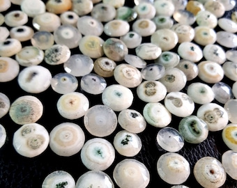 Gorgeous! Natural Solar Quartz Beads Gemstone | Solar Quartz Faceted Coin Shape Beads For Jewelry Making |  13 mm to 14 mm Size | 10 Pieces